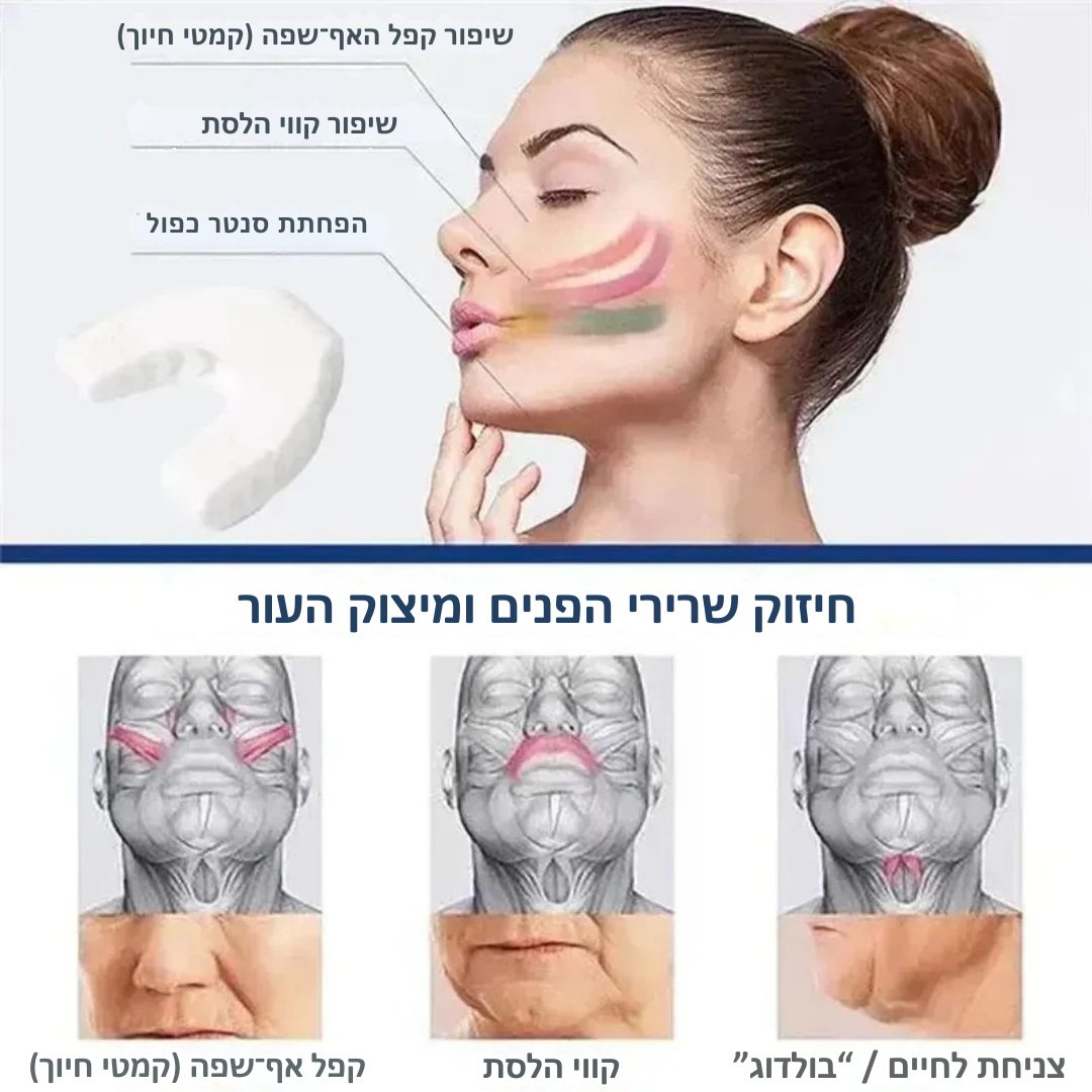 נשכן מעצב קו לסת